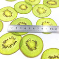 10pcs