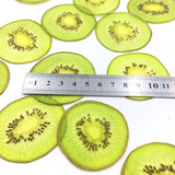 Load image into Gallery viewer, 5 Pcs Dried Pressed Kiwi Fruit for Resin Crafts