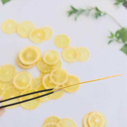 10 Pcs Real Dried Pressed Lemon Slices