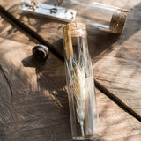 Load image into Gallery viewer, Natural Dried Flower Wishing Bottle Party Favors