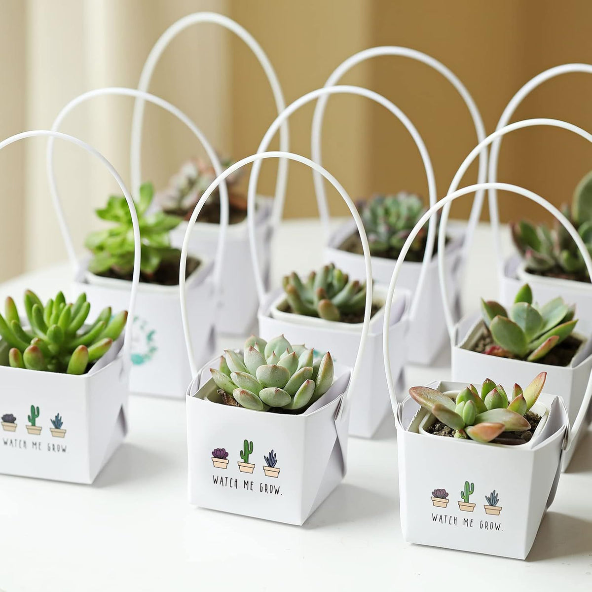 Waterproof Kraft Paper Succulent Gift Bags Pack 30