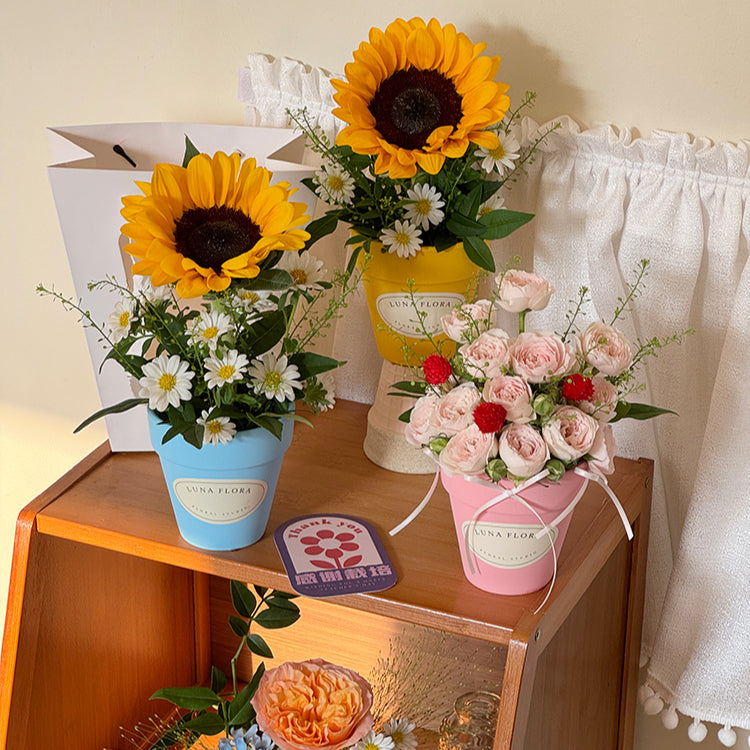 bright ceramic plant pots Bright Coloured Ceramic Flower Pot
