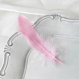Load image into Gallery viewer, Colorful Decorative Feathers for Crafts