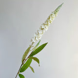 Load image into Gallery viewer, Faux French Lavender Spray (77cm)