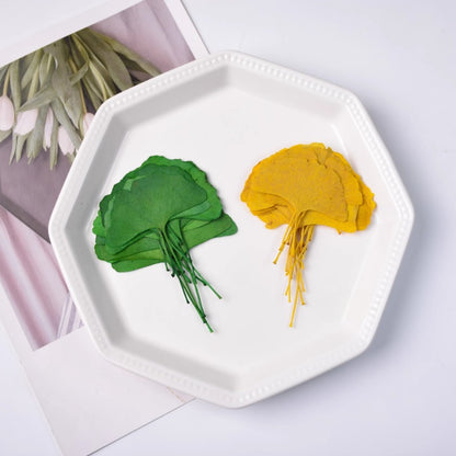 50 Pcs Dried Pressed Ginkgo Leaves