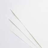 Load image into Gallery viewer, 10pcs 180gsm Hard Cardstock Bouquet Paper (44x58cm)