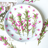 Load image into Gallery viewer, Real Dried Pressed Pink Flower Stems