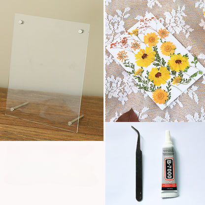 Dried Flowers Pressed Flowers Photo Frame DIY Kit