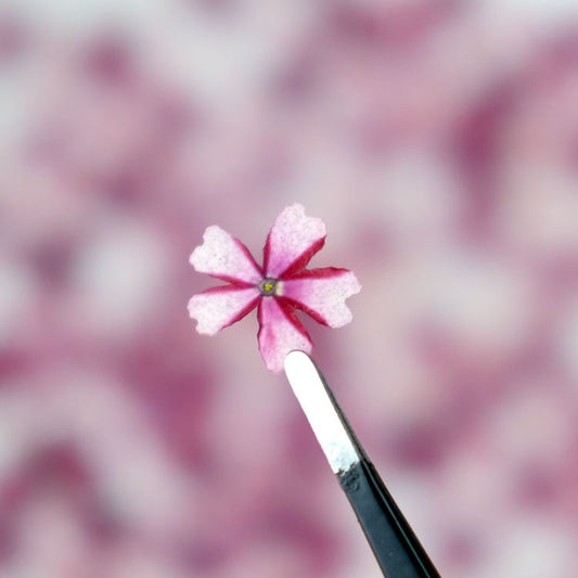 50 Pcs Real Dried Pressed Small Sakura Blossoms