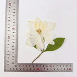 Load image into Gallery viewer, Elegant Pressed Gardenia Flowers with Stems