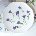 4-5cm 60pcs