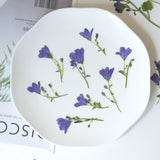 Load image into Gallery viewer, Real Dried Pressed Bellflowers for DIY Crafts