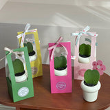 Load image into Gallery viewer, Gift Box for Mini Potted Plants Pack 20