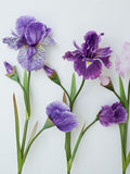 Load image into Gallery viewer, 3-Head Artificial Iris Flower Spray 79cmH