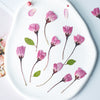60pcs