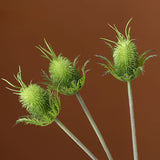 Load image into Gallery viewer, Artificial Banksia Integrifolia Stems Pack 3