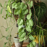 Load image into Gallery viewer, 35" Artificial Monstera Hanging Garland