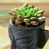 Load image into Gallery viewer, Artistic Tribal-mask Ceramic Succulent Pot