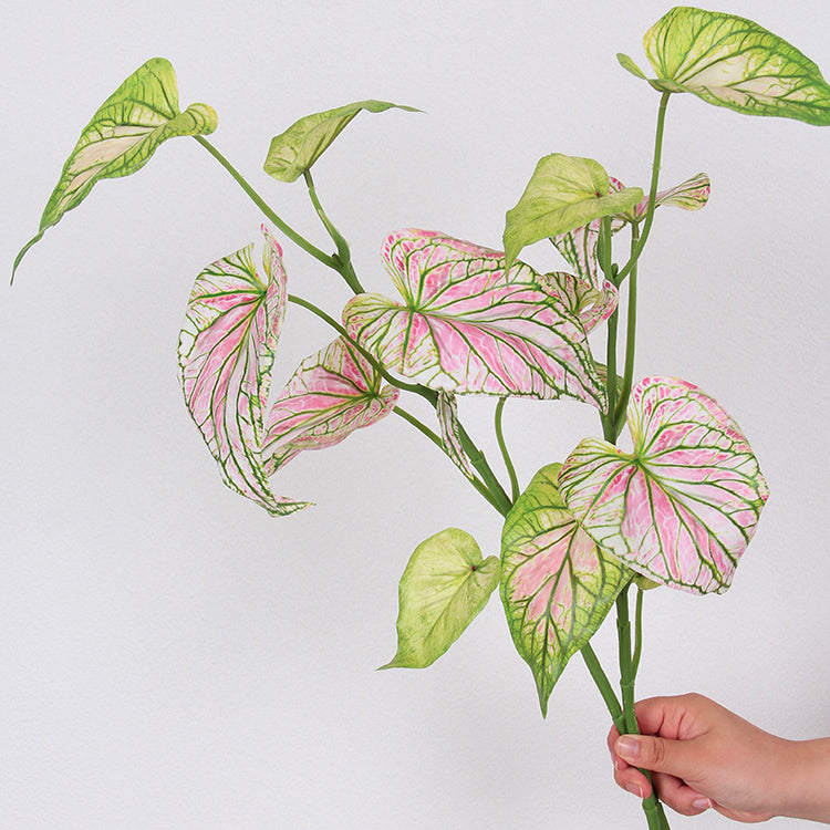 elephant ear plant 3d model 3D Real Touch Elephant Ear Plant Spray 72cmH – Floral Supplies Store
