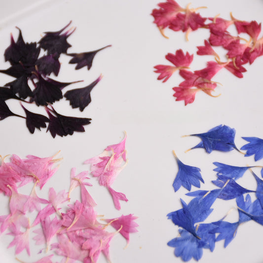 60 Pcs Dried Pressed Cornflower Petals