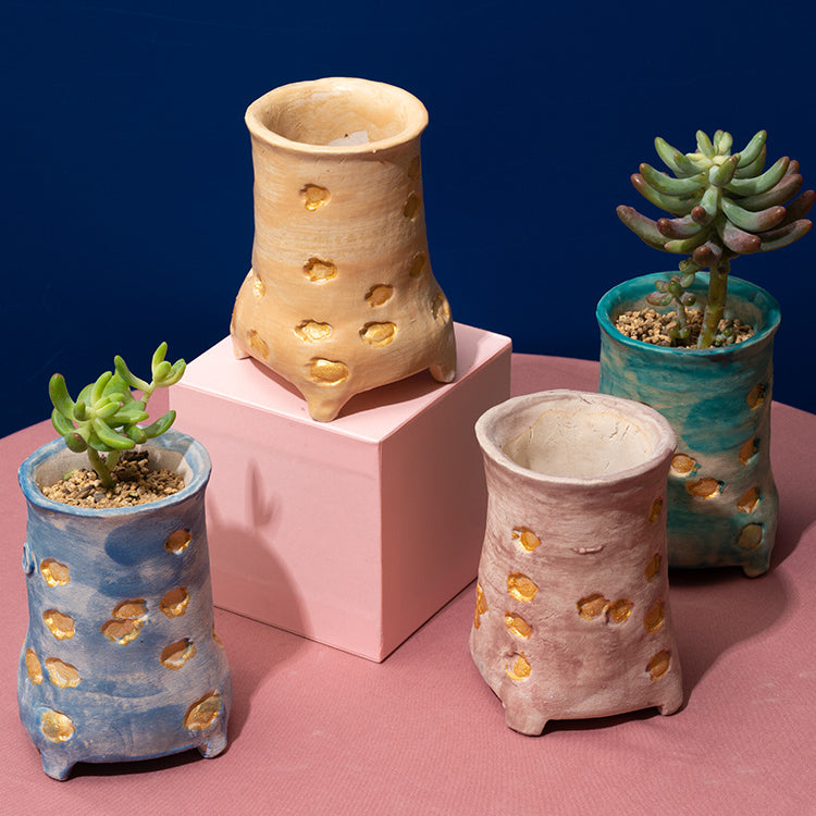 cute small succulents Cute Small Deep Pot for Succulents – Floral Supplies Store