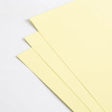 Load image into Gallery viewer, 10pcs 180gsm Hard Cardstock Bouquet Paper (44x58cm)