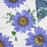 Load image into Gallery viewer, Real Dried Pressed Purple Water Lily Flower