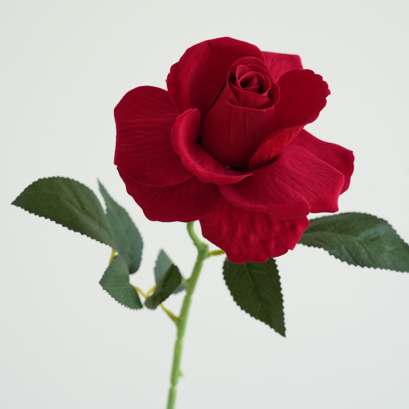 Artificial Red Velvet Stem Rose (8.5cmDx50cmH) Floral Supplies Store Artificial Red Velvet Stem Rose (8.5cmDx50cmH) Floral Supplies Store