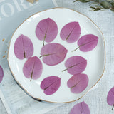 Load image into Gallery viewer, 50 Pcs Dried Pressed Pink Leaves for Crafts