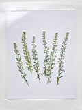 Load image into Gallery viewer, 6 Pcs Dried Pressed Green Plants for DIY Crafts