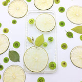 Load image into Gallery viewer, 10 Pcs Real Dried Pressed Green Lemon Slices