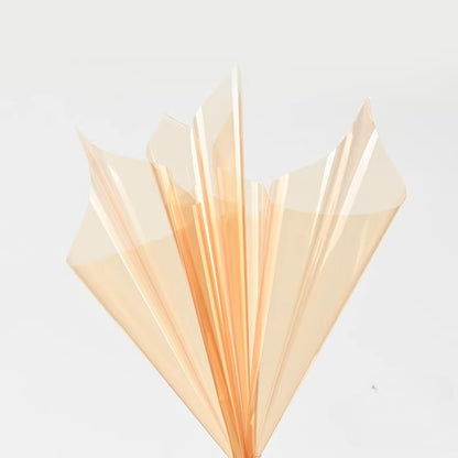 20pcs Colored Clear Cellophane Wrap Sheet (58x58cm)
