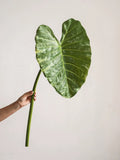 Load image into Gallery viewer, 34" Artificial Elephant Ear Leaf Stem