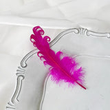 Load image into Gallery viewer, Colorful Decorative Feathers for Crafts