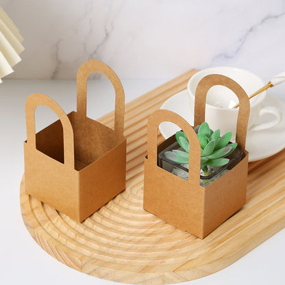 Square Kraft Paper Succulent Gift Bags Pack 30
