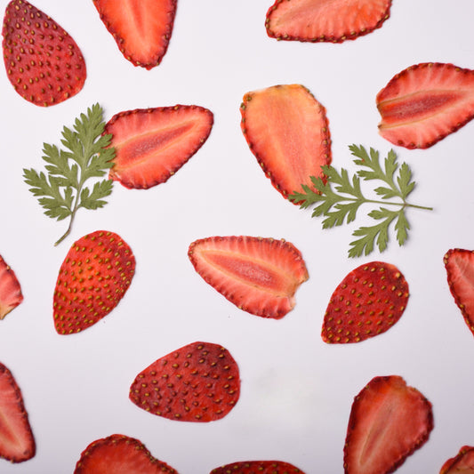 10 Pcs Dried Pressed Strawberry Slices