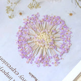 Load image into Gallery viewer, 50 Pcs Pressed Dried Blue Lace Flower for Resin Crafts