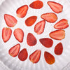 10pcs