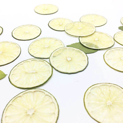 Real Dried Pressed Green Lemon Slices