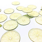 Load image into Gallery viewer, 10 Pcs Real Dried Pressed Green Lemon Slices