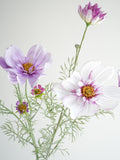 Load image into Gallery viewer, Artificial Cosmos Flower Spray 78cmH