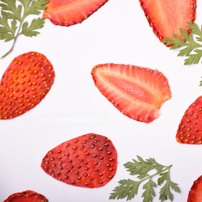 10 Pcs Dried Pressed Strawberry Slices