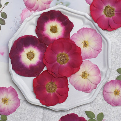50 Pcs Real Dried Pressed Rose Blossoms