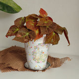 Load image into Gallery viewer, Whimsical Bunny &amp; Duckling Ceramic Planter