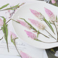 12pcs