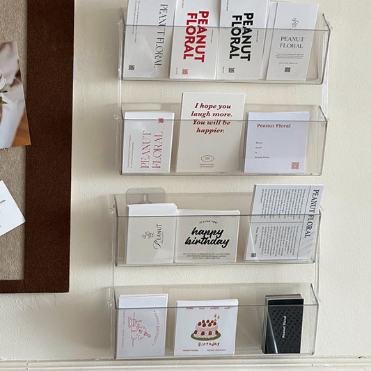 Acrylic Wall-Mounted Booklet Organizer Rack