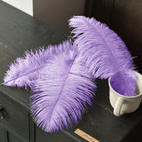 Load image into Gallery viewer, 35cm Ostrich Feather Bouquet Decor Pack 10