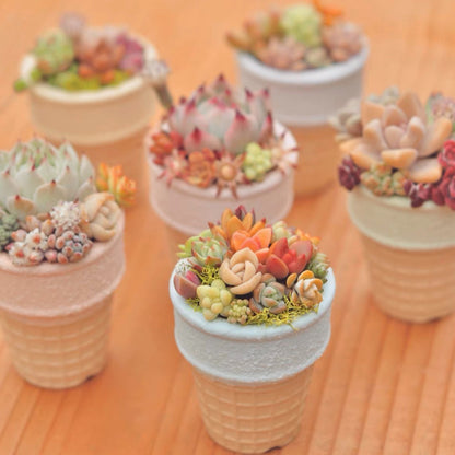 Ceramic Ice Cream Cone Plant Pots (6-Piece)