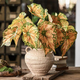 Load image into Gallery viewer, 26" Artificial Begonia Leaf Spray