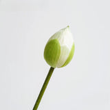 Load image into Gallery viewer, Artificial White Lotus Flower Stem (75cm)